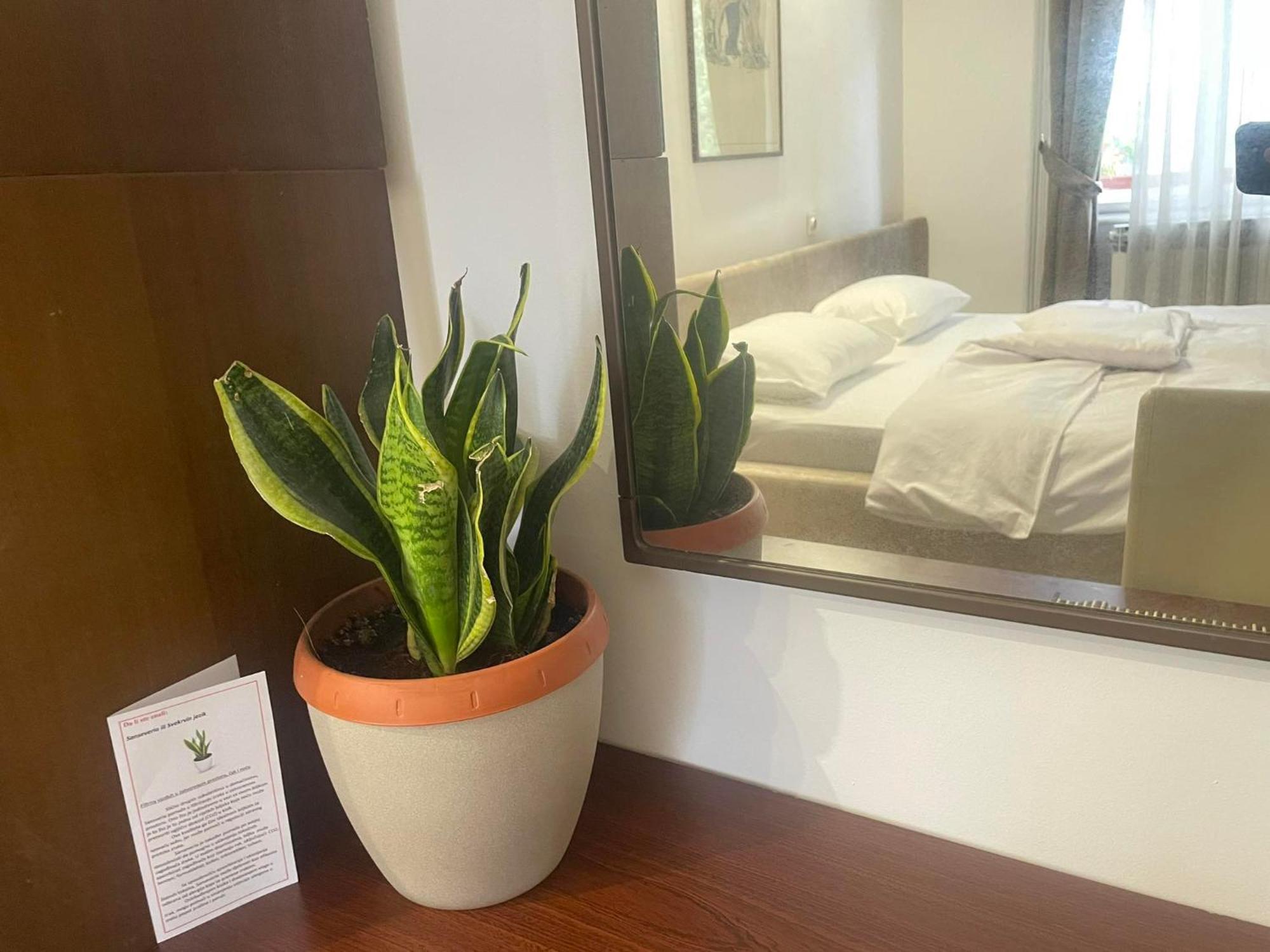 Apartment Romana سراييفو المظهر الخارجي الصورة